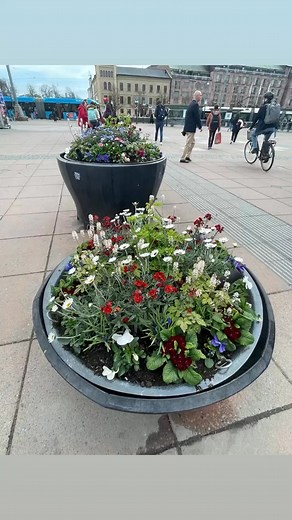 #beautifulspringflowers@Sweden | Hello Mga Migs