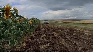 Prime Cut R 1972 ‧ Crime/Thriller ‧ 1h 28m Welcome to the movies and television