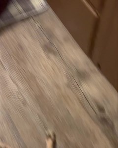 Weebles! | Second Chance Farm Granbury