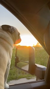 5.6K views · 278 reactions | Absolutely beautiful Sunday evening in North Missouri at sunset   | Steve McBee | Facebook