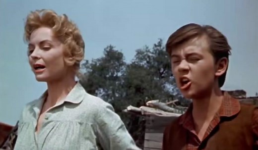 Old Yeller 1957 Bear Scene. #movie #moviescenes #goodmovie #oldyeller #oldyellerbearscene