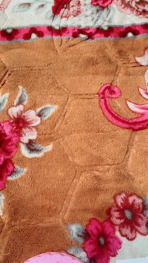 គណនីដែលបានណែនាំ