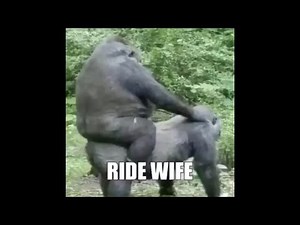 Le Monke Meme Compilation