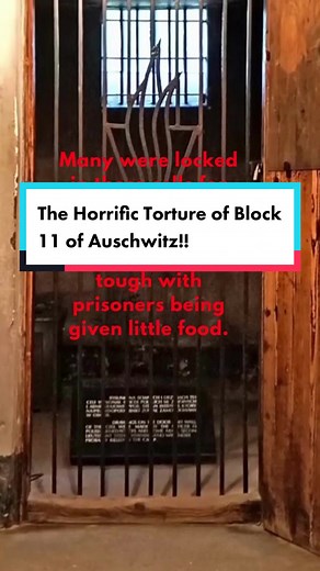 The Horrific Torture of Block 11 of Auschwitz concentration camp in WW2 #ww2 #history #historylesson #historiareal #foryou #fyp