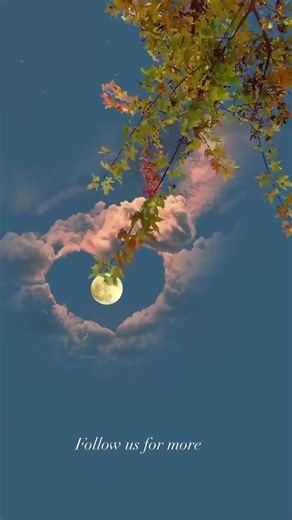 4.3K views · 221 reactions | Photography In Japan on Reels | Facebook