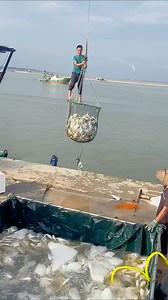 149K views · 715 reactions | tik tok | cartoon cartoon | gana | #tiktok | #viral | #shortsvstiktok | #youtubeshorts #maikalyt @maikal__yt | Maikal YT | Facebook