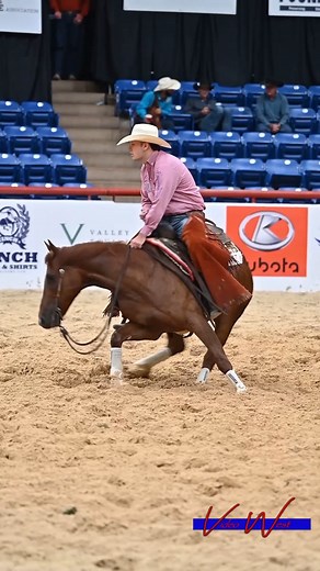 Martinis Gotcha and Cade Shepard kicked off a great first day of the Open Derby First Go with a smokin' 220 for Wolf Livestock and there's more to come! 𝐀𝐑𝐓𝐈𝐍𝐈𝐒 𝐆𝐎𝐓𝐂𝐇𝐀 & 𝐂𝐀𝐃𝐄 𝐒𝐇𝐄𝐏𝐀𝐑𝐃 220 𝐏𝐈𝐍𝐊 𝐅𝐋𝐎𝐘𝐃𝐃 & 𝐀𝐔𝐒𝐓𝐈𝐍 𝐒𝐇𝐄𝐏𝐀𝐑𝐃 218 𝐑𝐎𝐋𝐋𝐙 𝐄𝐇 & 𝐀𝐔𝐒𝐓𝐈𝐍 𝐒𝐇𝐄𝐏𝐀𝐑𝐃 216.5 𝐐𝐔𝐄𝐄𝐍𝐘 & 𝐂𝐀𝐃𝐄 𝐒𝐇𝐄𝐏𝐀𝐑𝐃 216 Video provided by Video West Productions #wolflivestock #ncha #cuttinghorses #breedingchampions #austinshepardcuttinghorses #holidayautogr