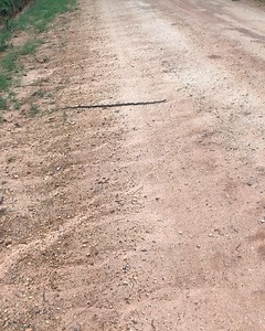 317K views · 2.1K reactions | Jeff Barron on Reels | Facebook