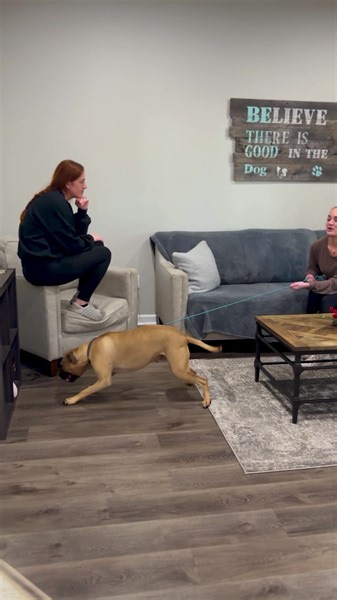 38 reactions | Here’s an exercise I’m assigning all of you with...