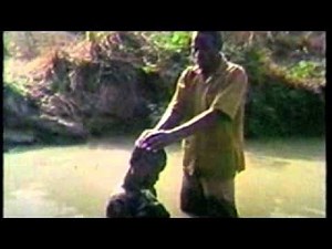 Brethren Baptism.flv