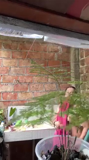 Success Vision on Reels