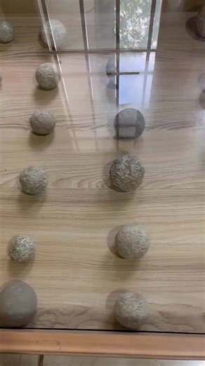 Get a peek into Assamese history, culture and heritage in the Heritage Museum at Sivasagar. From Ahom era coins, bricks and cannonballs to replicas of prominent monuments, the heritage museum provides a plethora of experiences. #AwesomeAssam #HeritageMuseum #Heritage #Culture #AssamHistory #AhomEra #Sivasagar | DDNews Assamese