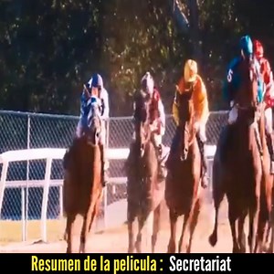 11K views · 116 reactions | Resumen de la pelicula Secretariat | Kata hati | Facebook