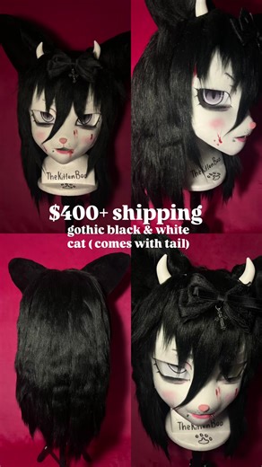 thekittenbooo on TikTok