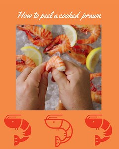 246 reactions · 19 shares | Australia's prawn fishers and farmers want you to enjoy your Christmas Day with the best quality  prawns. Here are our best tips on buying, storing, thawing and peeling | Love Australian Prawns | Facebook