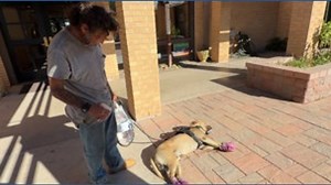 'It gets very hard': Early heat wave hits Valley homeless population before cooling centers open