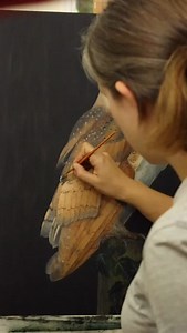 14K views · 6.1K reactions | Another owl! People just can’t seem to...