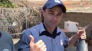 On se prépare pour faire cuire un Bonito entier au BBQ avec nous amis de BBQ Labonté et VitalGrill avec les épices Le Tunisien! | Poissonnerie La Mer