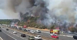 Il termometro segna 40°: a Dartford Heath l'incendio spaventa gli automobilisti in autostrada