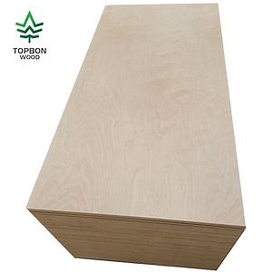 [Hot Item] Wood Veneer Birch Plywood Prices with High Quality
