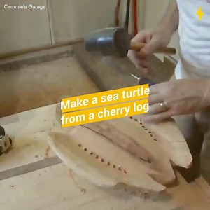 Carving a Sea Turtle from a Cherry Log | Prince Dr. Moosa bin Shamsher