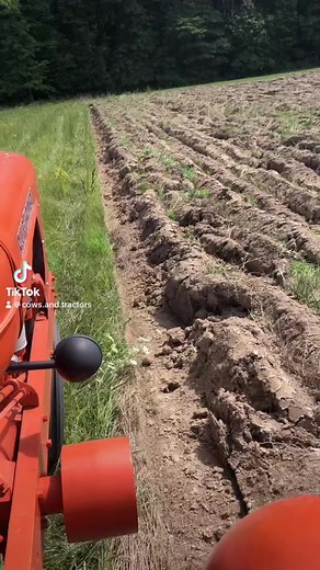 Allis Chalmers WD45 #allischalmers #oldiron #classictractor #plowing | cows.and.tractors