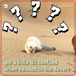 108K views · 2.1K reactions | Kitty, everything the light touched is your toilet | 9GAG | Facebook