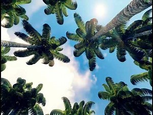 Find our Asian Massages near you