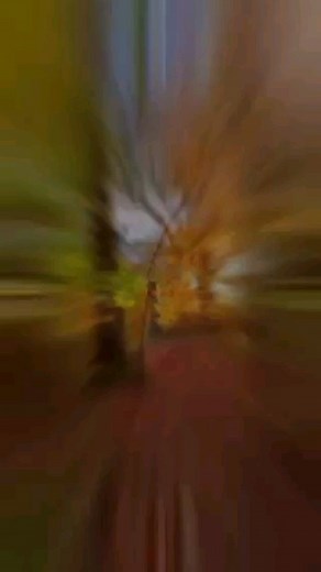 Garden City Alger on Reels