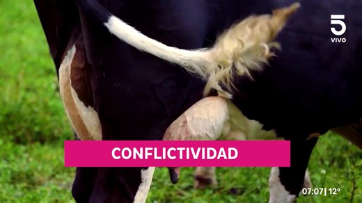 📺 Las cinco noticias clave de #Noticias5 | Canal 5 Noticias