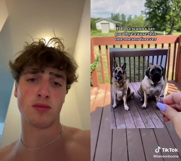 #duet with @bensonboone