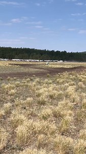 UTV 170 ripping up Mormon Lake! | Arizona Offroad Promotions | Facebook