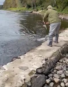 9.2K views · 496 reactions | Tay Salmon Fishing on Reels | Facebook