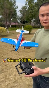 117 reactions · 3 comments |  First Flight! The VolantexRC P-51D...