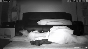 Hacked home ip camera: busty Korean young woman masturbates