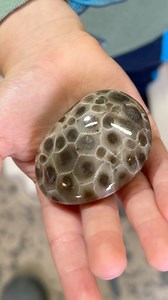65K views · 3.3K reactions | My grandson Joe and I went out rock hunting, and Joe found a very nice Petoskey stone. He asked me to polish it up for him, so I did. | Michigan Rocks | Facebook