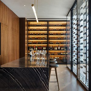 [Hot Item] Home Luxury Stainless Steel Glass Wine Storage Cabinet Compressor Wine Cabinet