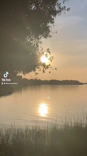 Understanding Deep Love: The Courage of Loving Another Person