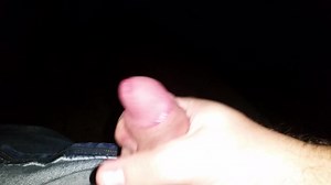 Jerking and Cumming Pulaski ABS Adult Theater Arcade