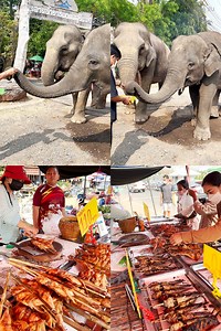 1.1K views · 14 reactions | Adorable Elephant and Buying Grilled Chicken in Thailand Street Food | •Tu & Eu • | Facebook