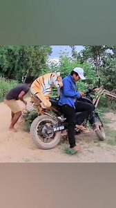 2.2M views · 4K reactions | SD Production on Reels | Facebook