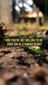 44 reactions | The Emperor's Curious Problem #stoicism #alphamale #dating #sigmamale #mensphysique | Beyond The Average | Facebook