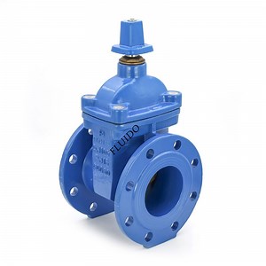 [Hot Item] Pn16 F4 Resilient Seated Non-Rising Stem Gate Valves