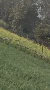 4K views · 3.2K reactions | Ehsaas nahin Tujhko Main Pyar Karoon Kitna❤️殺#trendingsongs #umayadav | Uma Yadav | Facebook