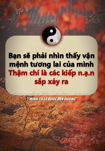 Luận Giải Kinh Dịch trên TikTok