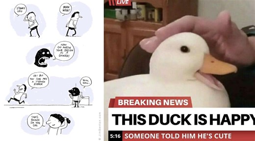 25 Wholesome Memes To Brighten Your Day And Make You Smile