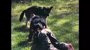 Project Nim Trailer OV