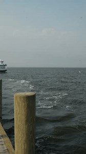 Cherry Grove, New York, Vereinigte Staaten: Stockvideos & Filmmaterial (100 % lizenzfrei) 3846131053 | Shutterstock