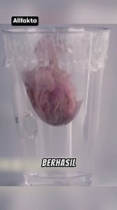 761K views · 4.6K reactions | Hatching egg without shell #unik #faktamenarik #faktaunik #viral #trending #sains | allfakta | Facebook
