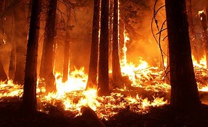 El famoso telescopio Allen, en peligro por los incendios de California